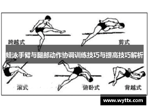 蛙泳手臂与腿部动作协调训练技巧与提高技巧解析